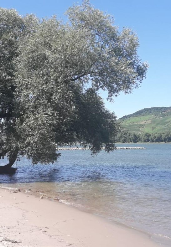Rheinstrand | &copy; Elke Schm&auml;l, Kisselbach