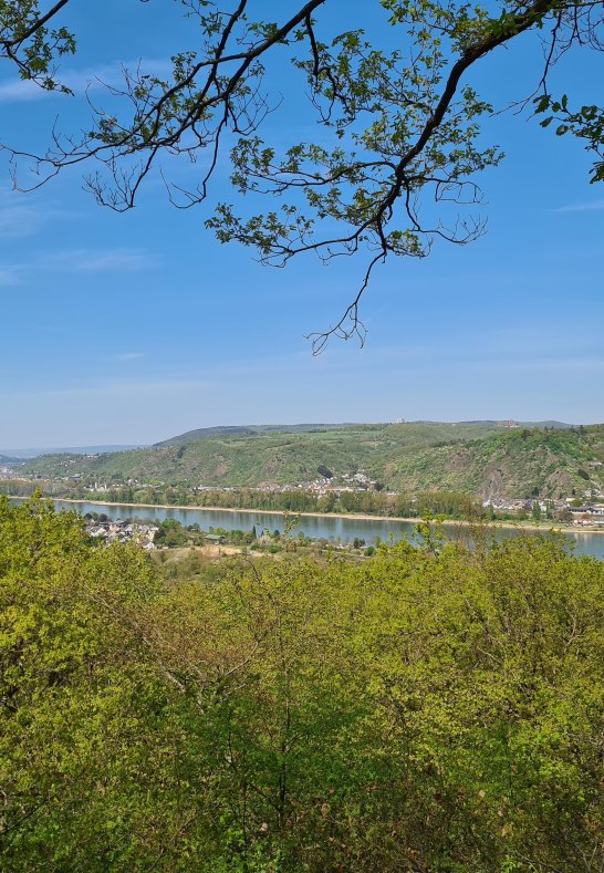 Ausblick | © Tourist-Information Erlebnis Rheinbogen Ausblick | © Tourist-Information Erlebnis Rheinbogen