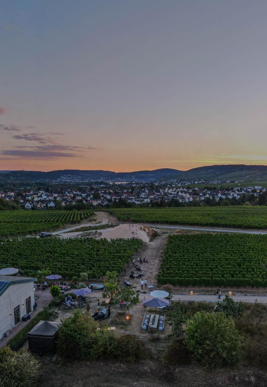 drone-daniel | © Weingut Dillmann drone-daniel | © Weingut Dillmann