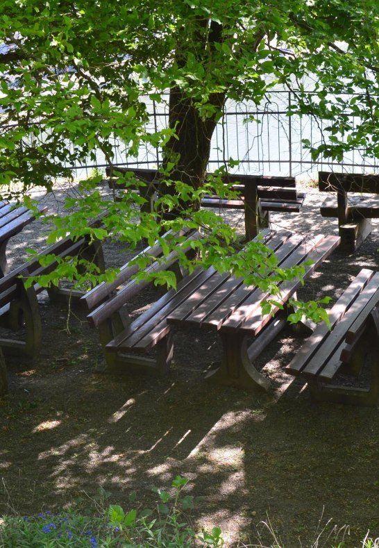 Sauzahn 4 | &copy; Tourist-Information Oberwesel