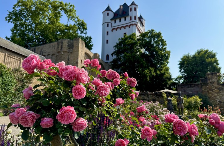 Standesamt in der Kurf&uuml;rstlichen Burg | &copy; Stadt Eltville
