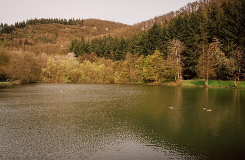 Der Schwanenteich | © Zinmpfer_Photography Der Schwanenteich | © Zinmpfer_Photography