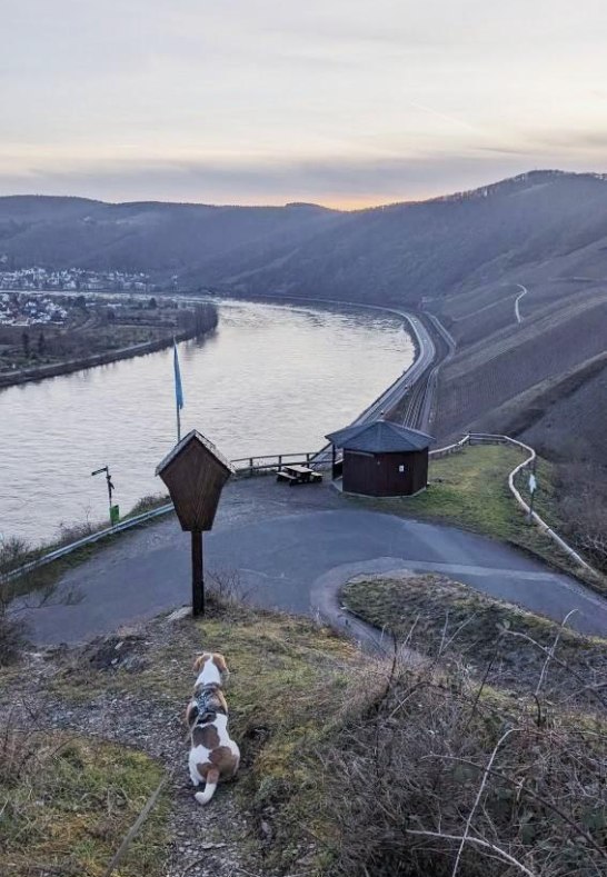 Bopparder Hamm Mandelsteinh&uuml;tte | &copy; Tourist Information Boppard