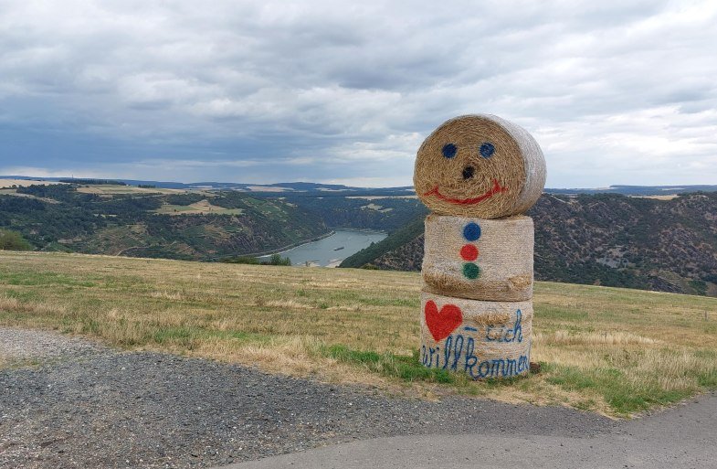 Heum&auml;nnchen | &copy; T. Biersch