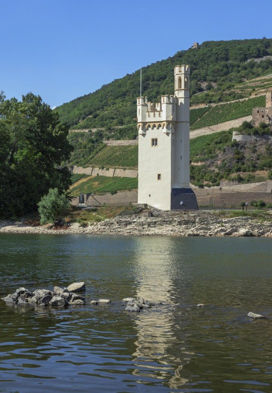 M&auml;useturm und Ruine Ehrenfels | &copy; Friedrich Gier/Romantischer Rhein Tourismus GmbH