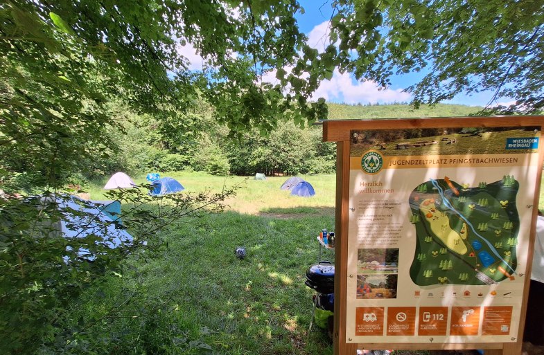 Pfingstbachwiesen | &copy; RTKT