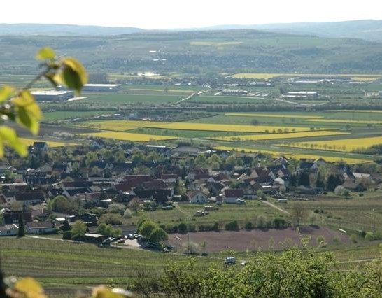 Dromersheim | &copy; Hartmann