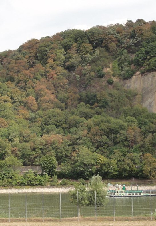 Rheinblick | &copy; Ferienwohnung Villa Koblenz