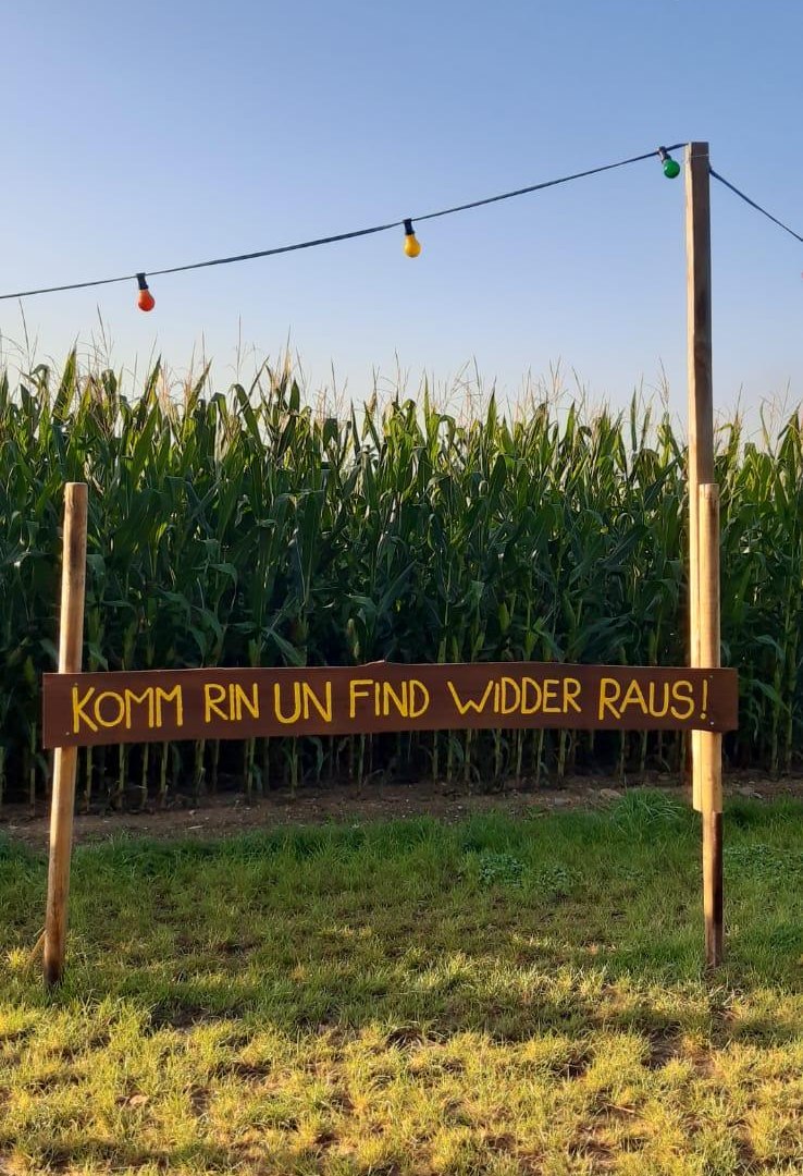 Maislabyrinth 1 | © Mareike Heckel Maislabyrinth 1 | © Mareike Heckel