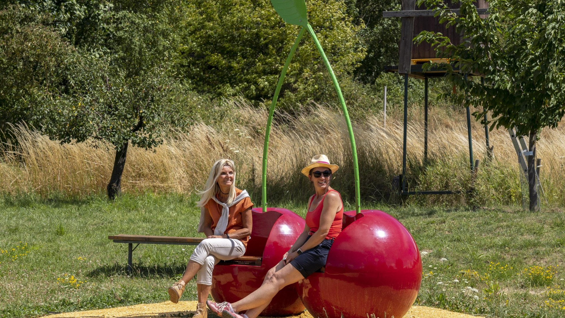 Kirschen am Kirschenpfad | &copy; Katja S. Verhoeven