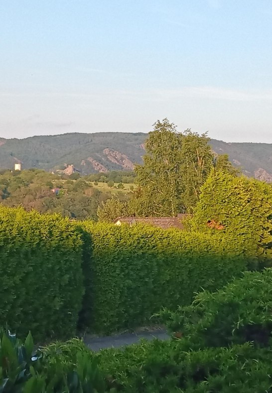 Aussicht | © Fam. Bühler