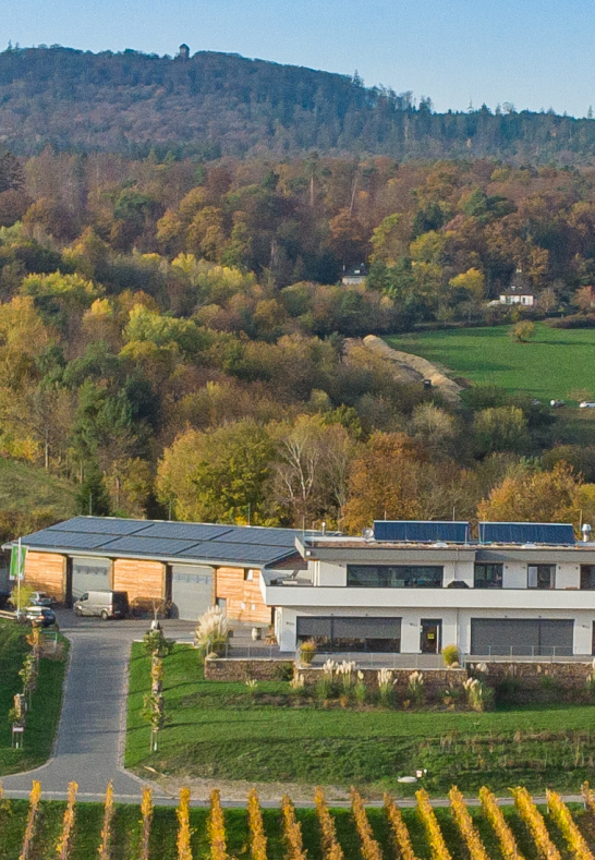 RieslingPier2020 | © Wagenpfeil RieslingPier2020 | © Wagenpfeil