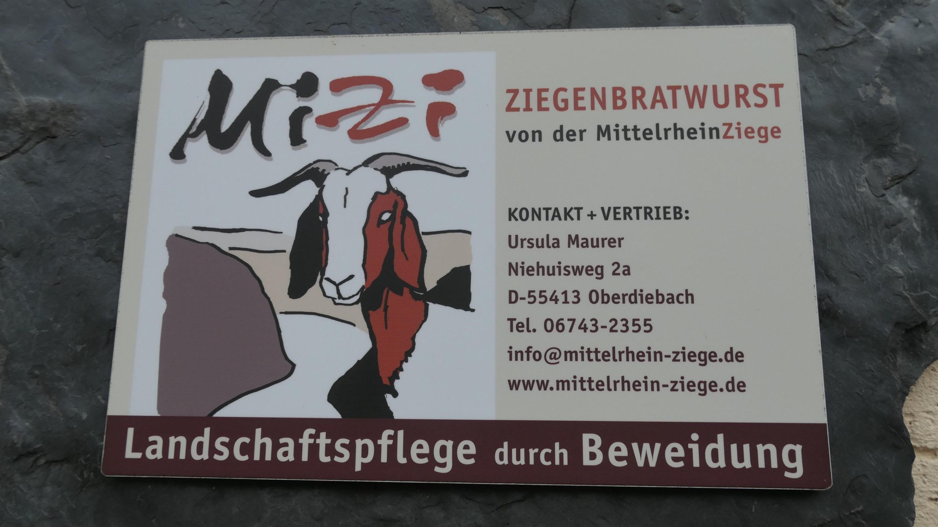 MIZI | &copy; Ursula Maurer