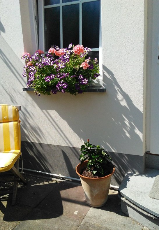 Eingang | &copy; Helga Kahle Elkady