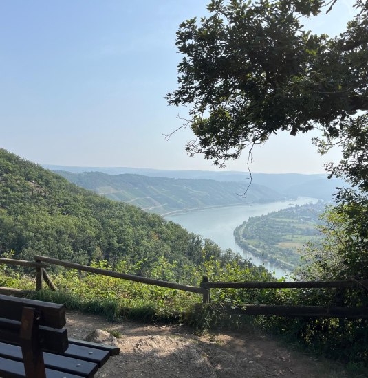 Fr&uuml;hlingswanderung | &copy; Frau Dresen