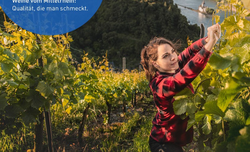 gU Mittelrhein | © Deutsches Weininstitut gU Mittelrhein | © Deutsches Weininstitut