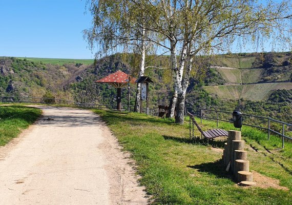 Aussichtspunkt "Werlauer Pilz" | &copy; T. Biersch