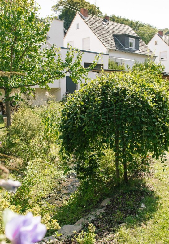 Gartenansicht | &copy; Ferienwohnung Am Breyer Talbach