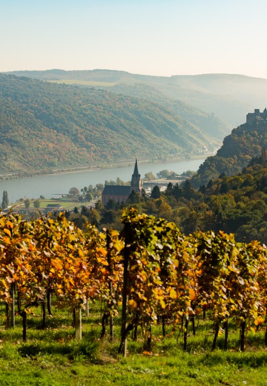 Oberwesel | &copy; Henry Tornow