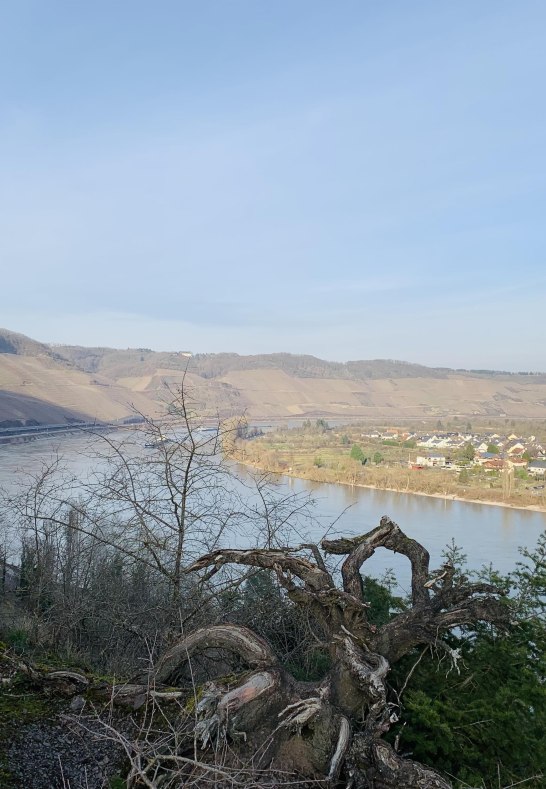 Aussicht | © Tourist Information Aussicht | © Tourist Information