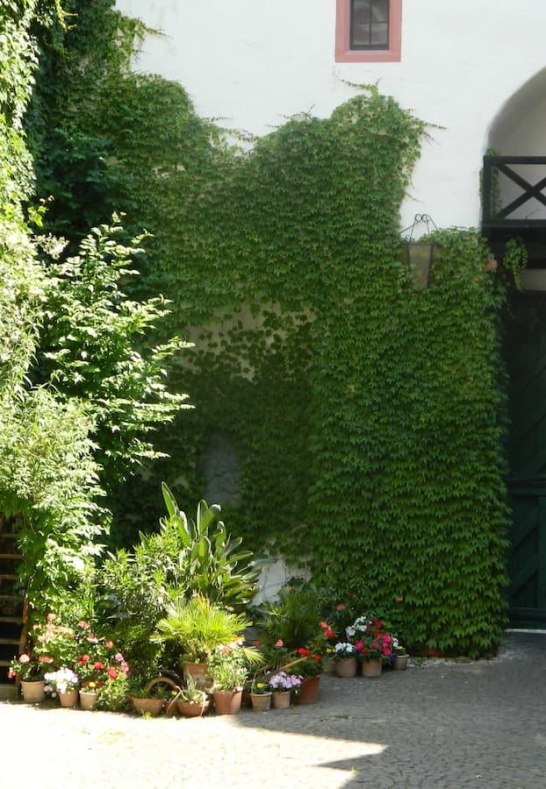 Schloss Martinsburg Eingang | © Harald Romberg