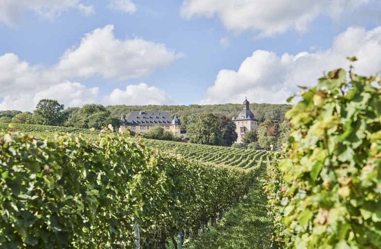 Schloss Vollrads Weinberge | © Hessen Tourismus, Roman Knie Schloss Vollrads Weinberge | © Hessen Tourismus, Roman Knie