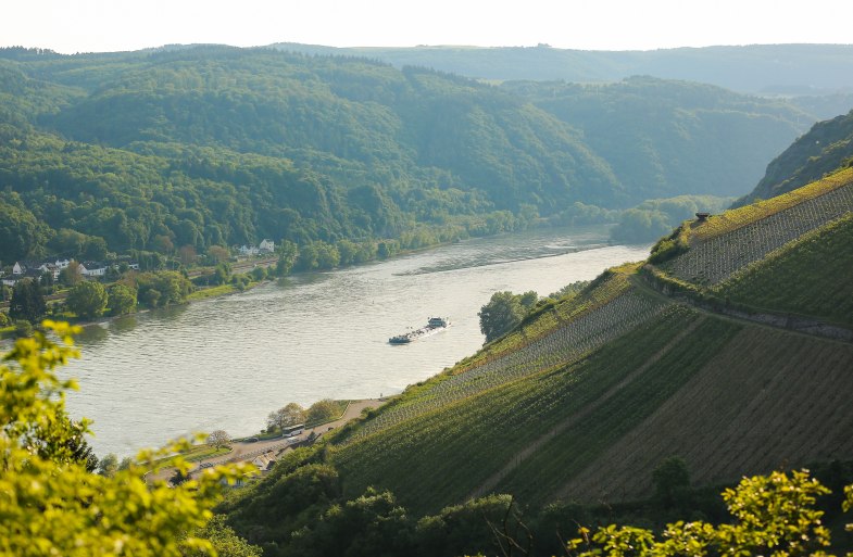 Die Steilh&auml;nge der Winzer bei St. Goarshausen | &copy; Henry Tornow