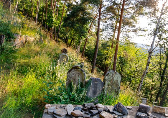 Gr&auml;ber | &copy; TI Oberwesel