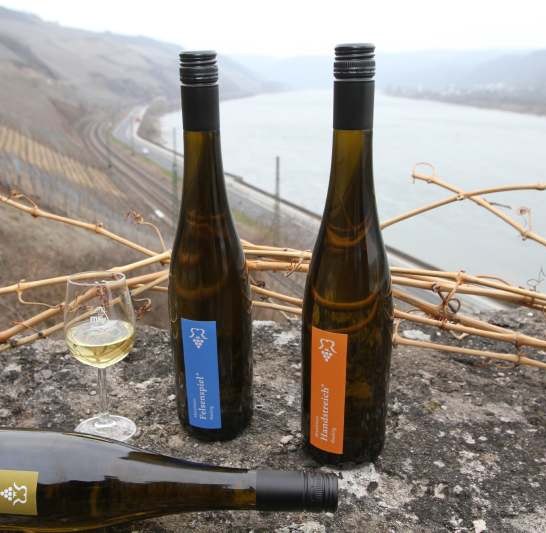 Profilweine im Hang | © MRC Profilweine im Hang | © MRC