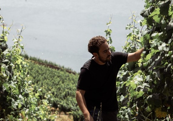 A. Schregel | © Weingut Schregel A. Schregel | © Weingut Schregel