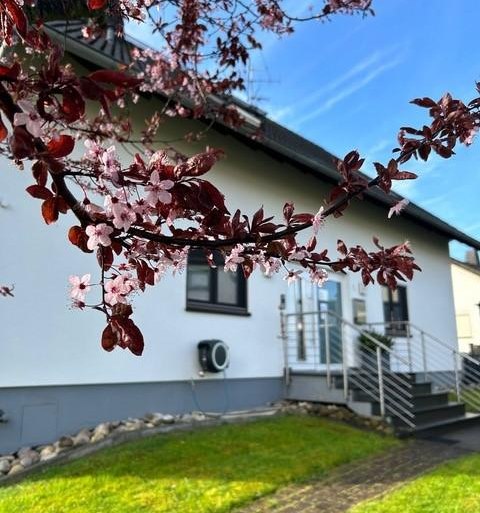 Hausansicht | &copy; Rummel