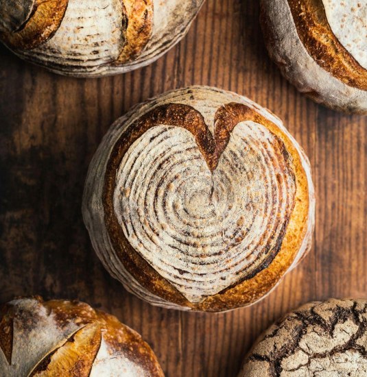 Canva Brot | &copy; TI HuMi