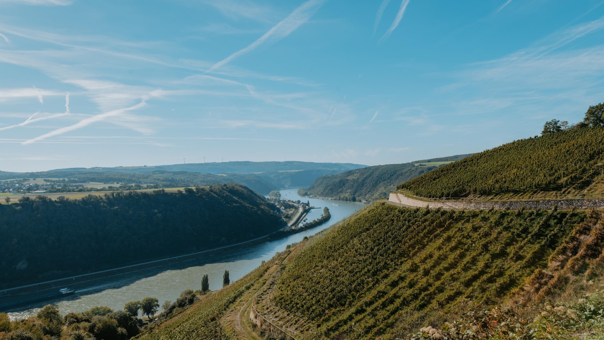 Loreley Kellerei | © Loreley Kellerei Loreley Kellerei | © Loreley Kellerei