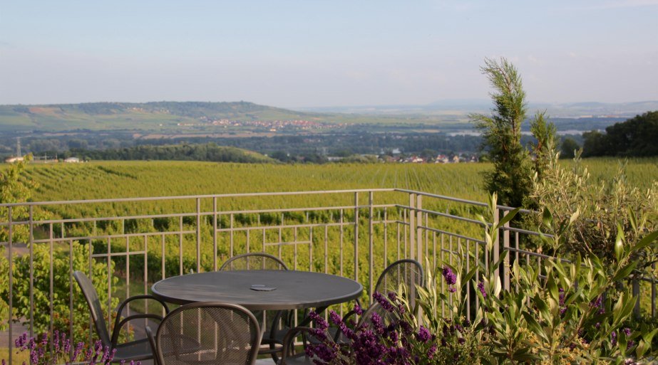 Weingut Freimuth | © Weingut Freimuth Weingut Freimuth | © Weingut Freimuth