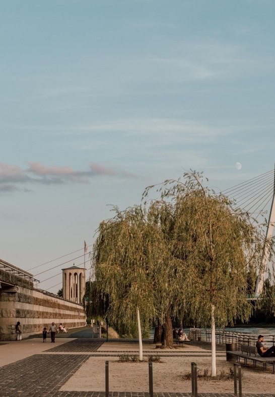 Deich, Pegelturm und Rheinbr&uuml;cke | &copy; Zimpfer_Photography