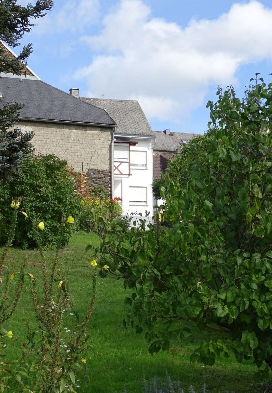 Garden pic 2 | &copy; HAmm