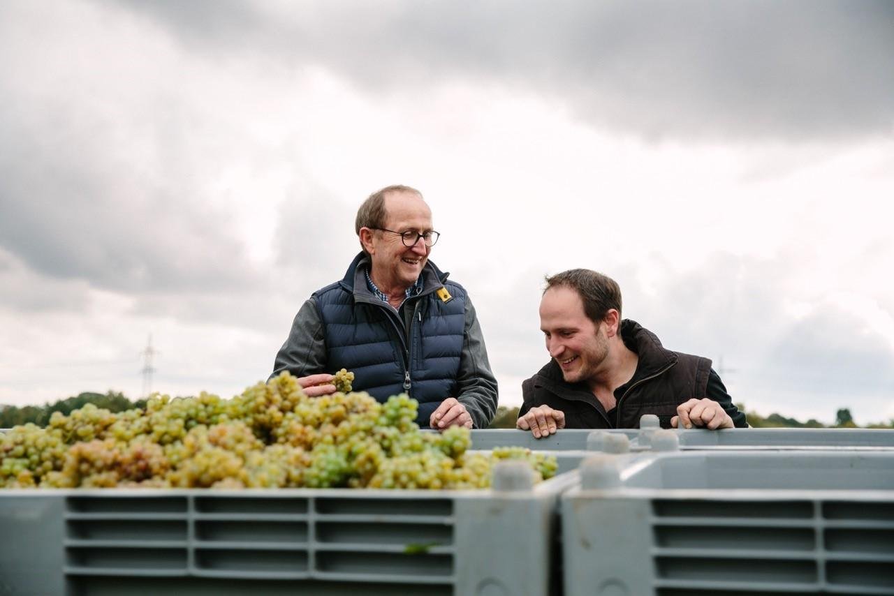 Weinlese Jakob Jung | &copy; Weingut Jakob Jung