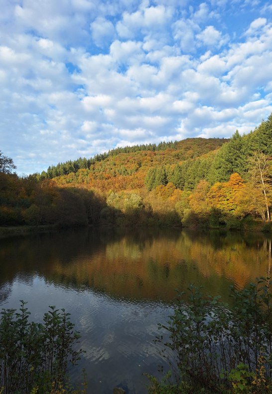 Schwanenteich im Herbst | © Rämer Schwanenteich im Herbst | © Rämer