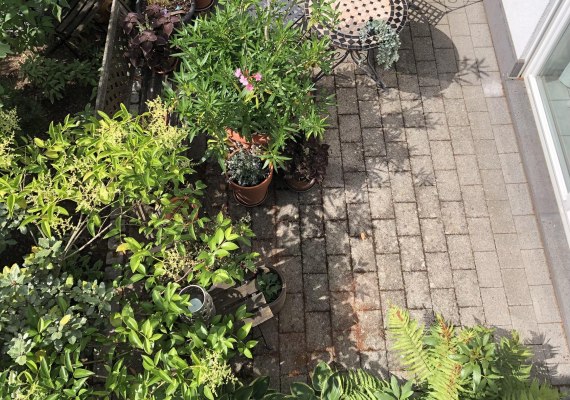 FeWo Garten b | © Silke Beth