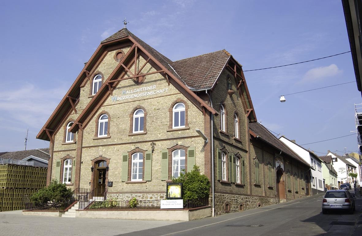 Hallgartener Winzer | © Hallgartener Winzer Hallgartener Winzer | © Hallgartener Winzer