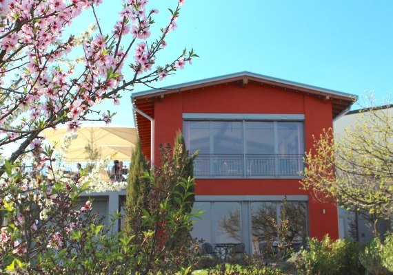 Vinothek Weingut Freimuth | © Weingut Freimuth Vinothek Weingut Freimuth | © Weingut Freimuth