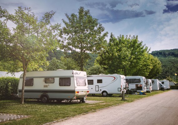 Stellpl&auml;tze | &copy; Campingplatz G&uuml;lser Moselbogen