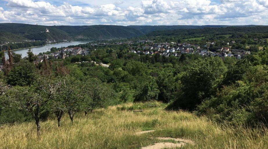 Weitblick | &copy; TI Erlebnis Rheinbogen