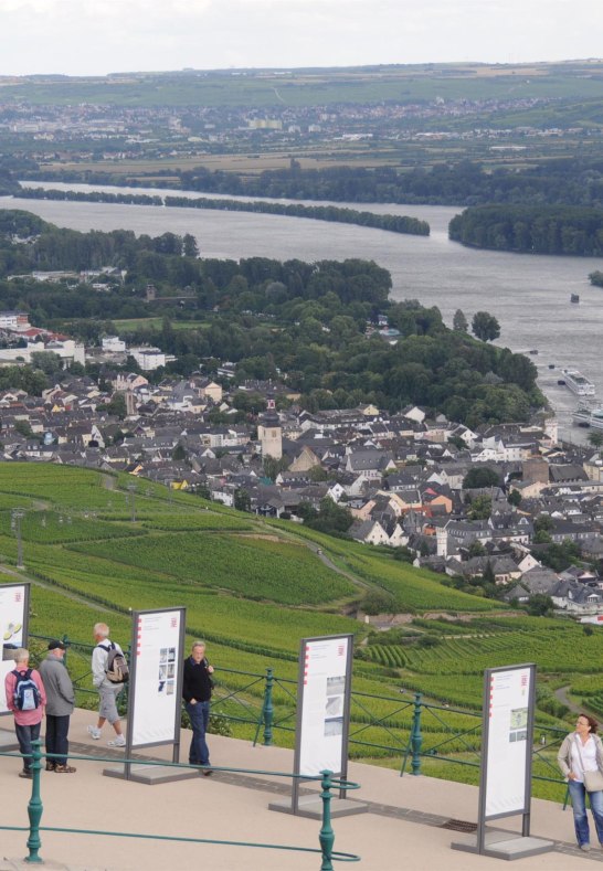 Blick auf Rüdesheim vom Denkmal