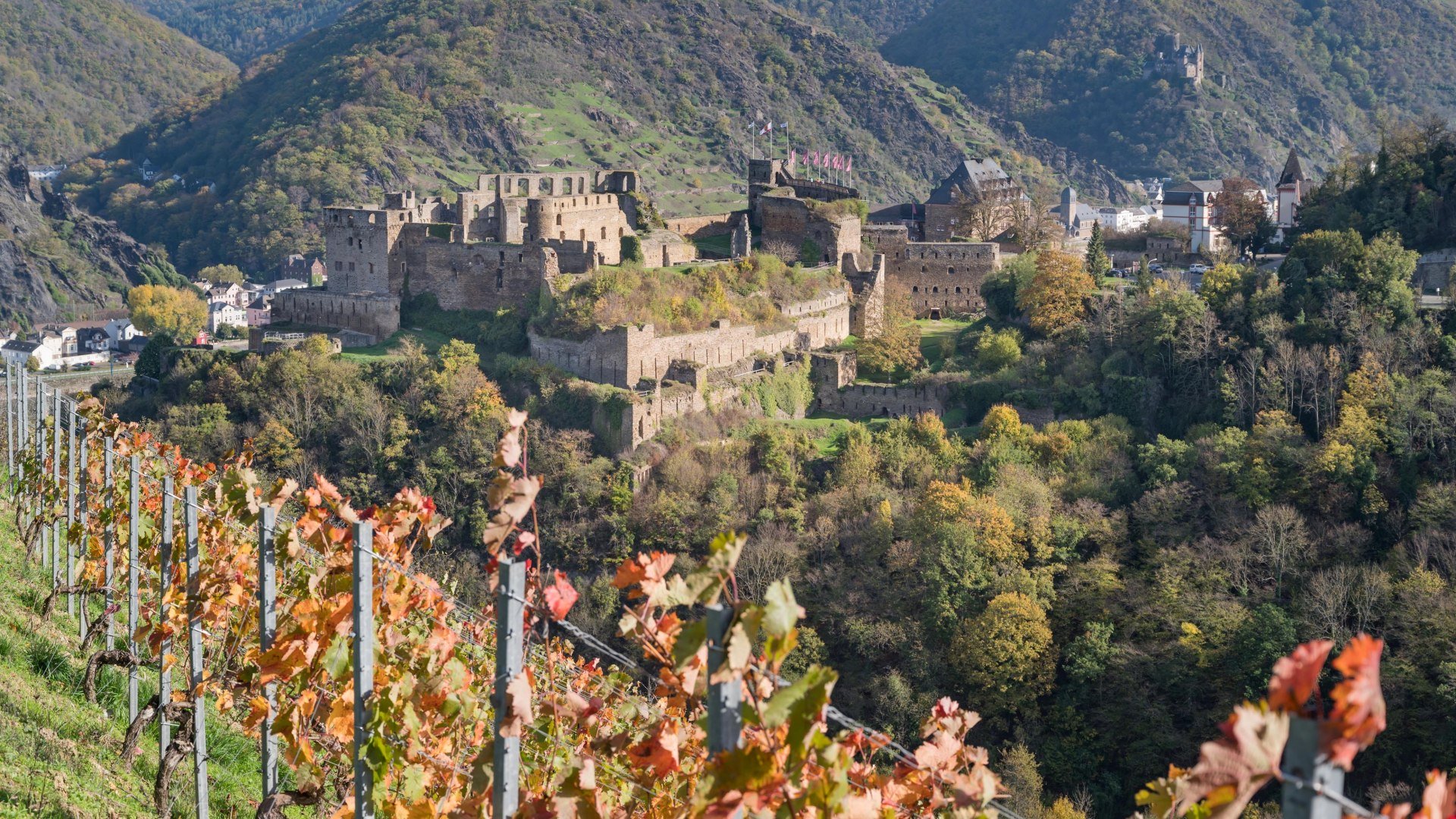Rheinfels im Herbst | &copy; Andreas Pacek, fototour-deutschland.de