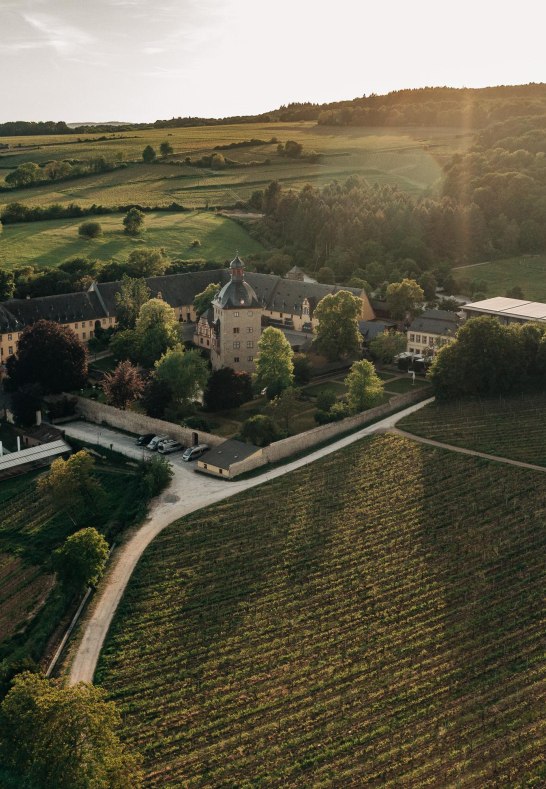 Schloss Vollrads | © Schloss Vollrads