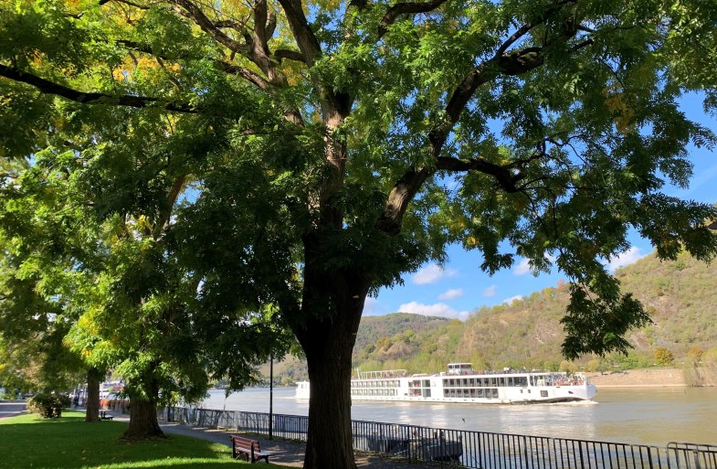Rheinallee | © Tourist Information Boppard Rheinallee | © Tourist Information Boppard