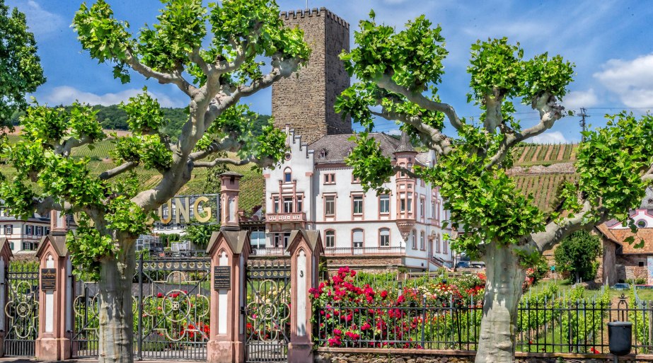 Boosenburg in R&uuml;desheim | &copy; R&uuml;desheim Tourist AG Marlis Steinmetz