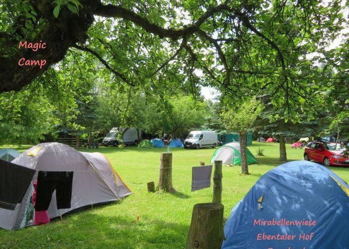 Mirabellen Wiese | &copy; Familie Bender