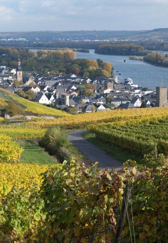 Rüdesheim am Rhein